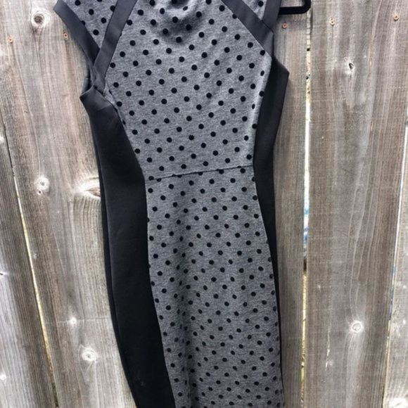 113. Enfocus Petite Polka Dot Black and Gray Dress 10P - Picture 3 of 14